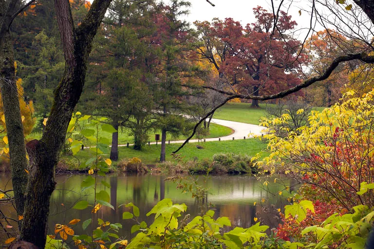 Scenic autumn park with colorful foliage, pond, and winding paved pathway.