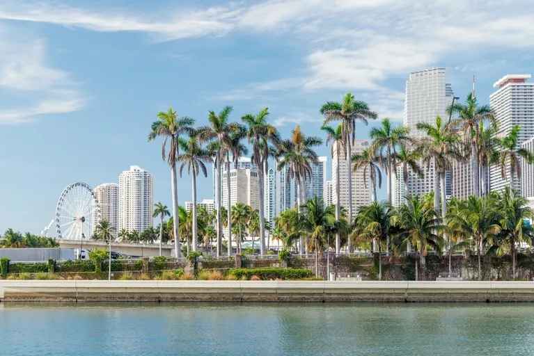 View of a waterfront cityscape with tall palm trees, high-rise buildings, and a Ferris wheel under a partly cloudy sky.